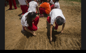 Screenshot_2016-06-03-15-21-55