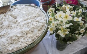 thumbnail_FERIA DEL TEJATE Y TAMAL (4)