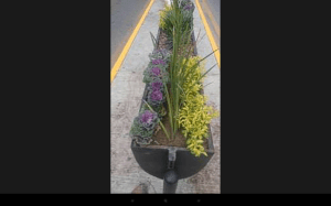 screenshot_2016-09-26-23-36-17