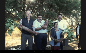 screenshot_2016-12-21-20-43-57