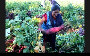 screenshot_2016-12-21-20-44-05