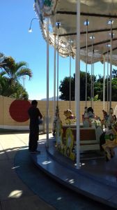 rehabilitacion-carrusel-3