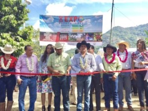 thumbnail_img-20170106-wa0019