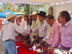 thumbnail_img-20170106-wa0020