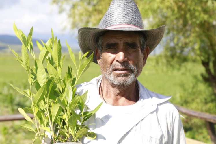 SEMAEDESO 3 SAN PABLO HUIXTEPEC-3