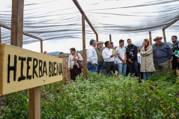 AMH- TELEBACHILLERATO ETLA (3)