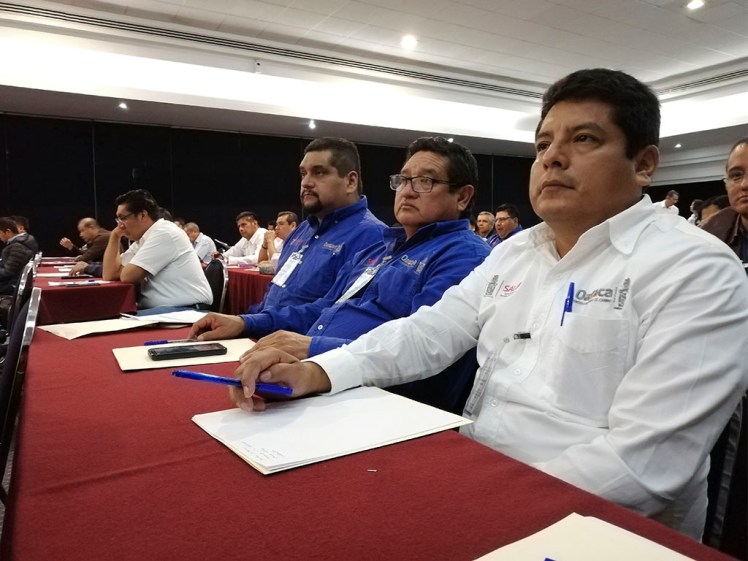 SSO- Capacita a personal (1)