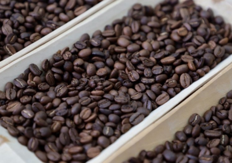 screenshot_20200205_061809